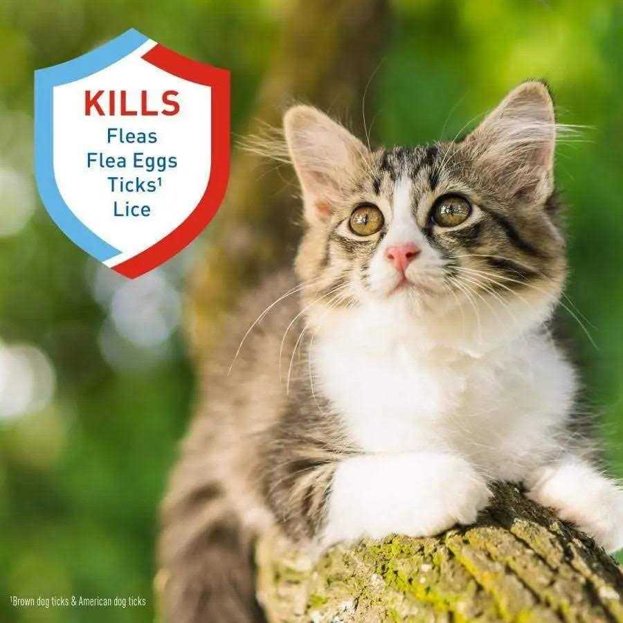 Flea Tick Shampoo V221
