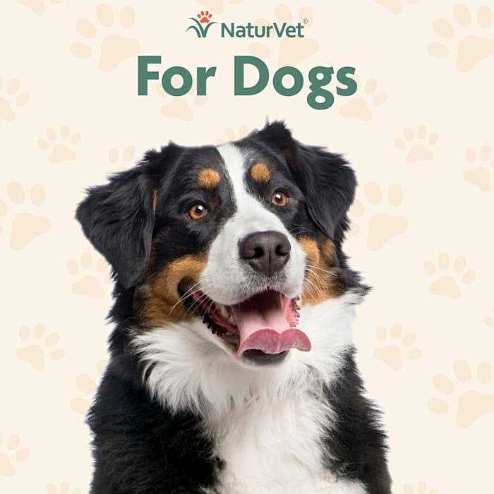 Senior Incontinence Soft Chews K965