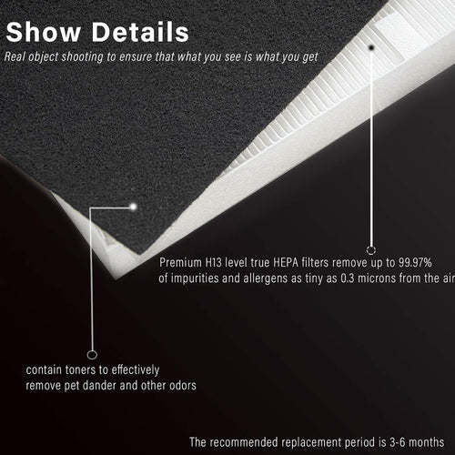 2 Pack True HEPA Replacement Filter with 8 Carbon Filters D769