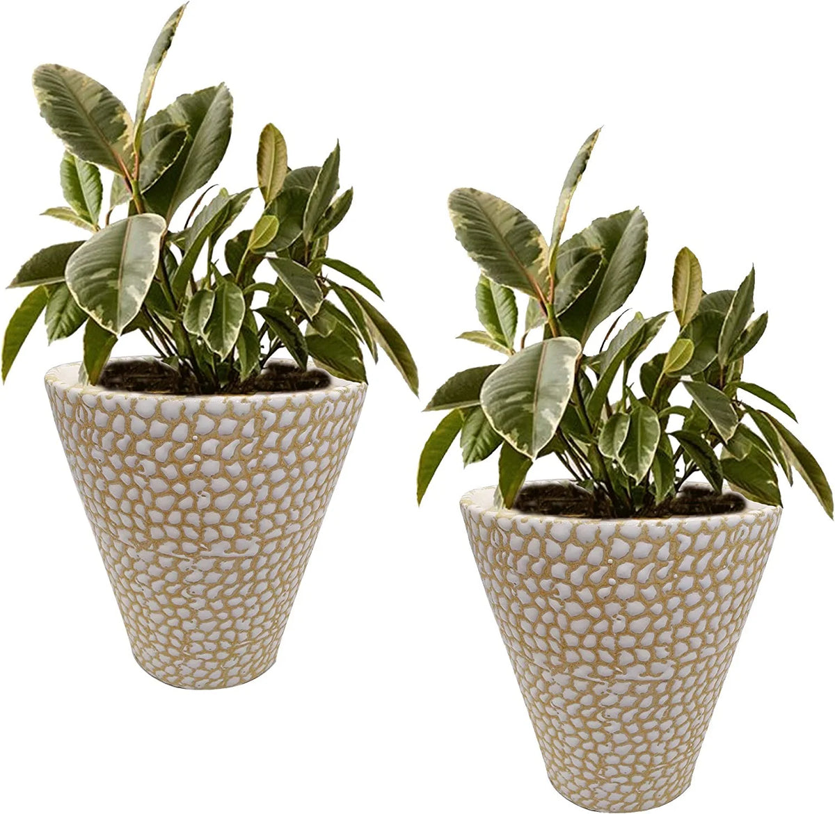 Ceramic Flower Pot Planter Vase Set of 2 8 Inch Cream S79045