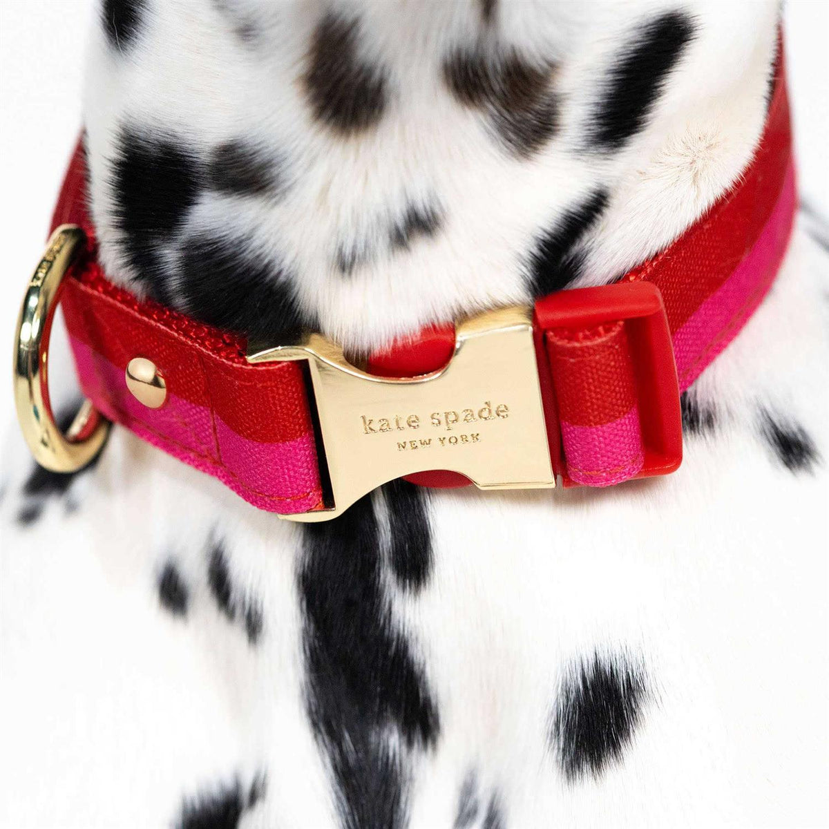 Red Pink Colorblock Dog Collar P767020