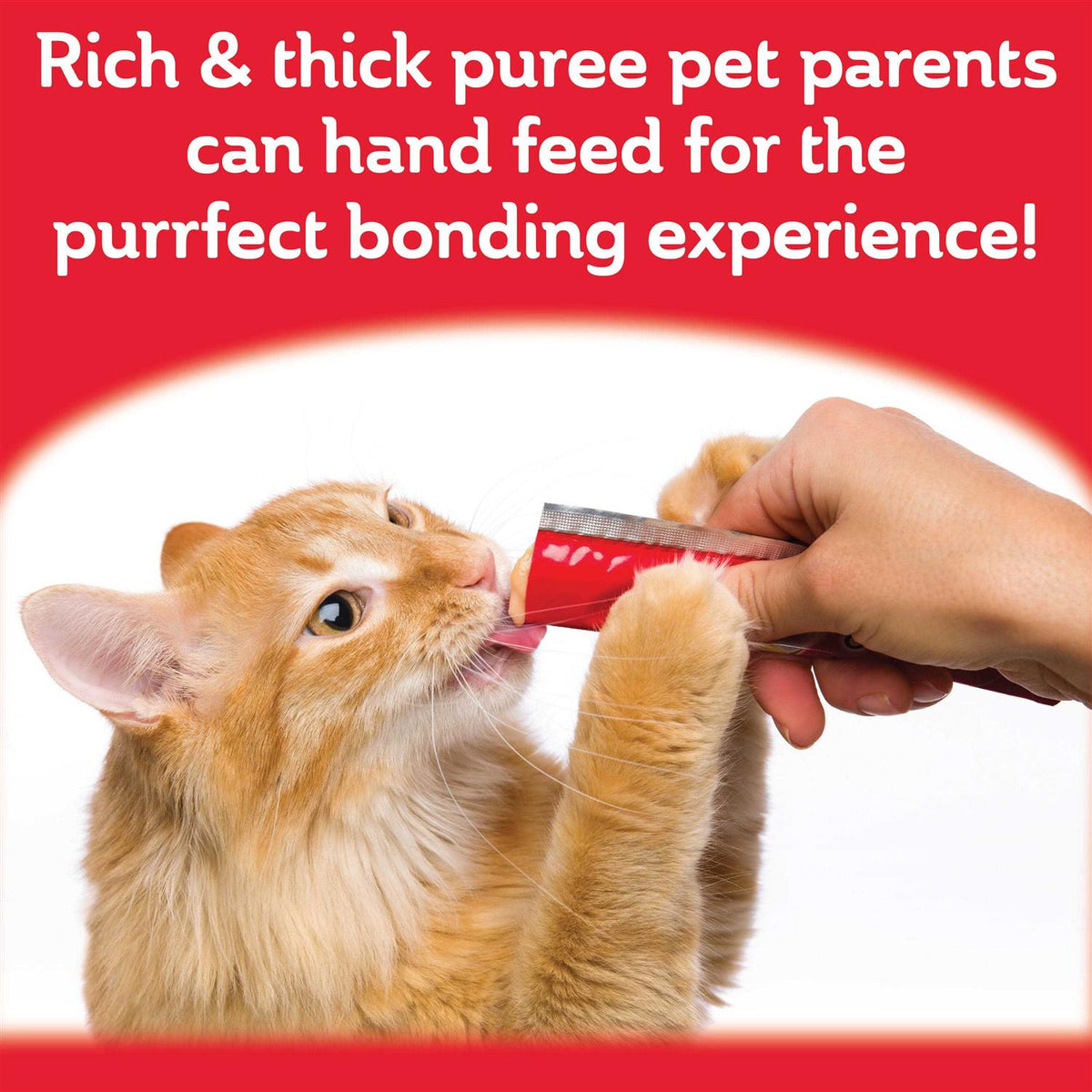 Squeeze Up Cat Treats Variety Pack D328