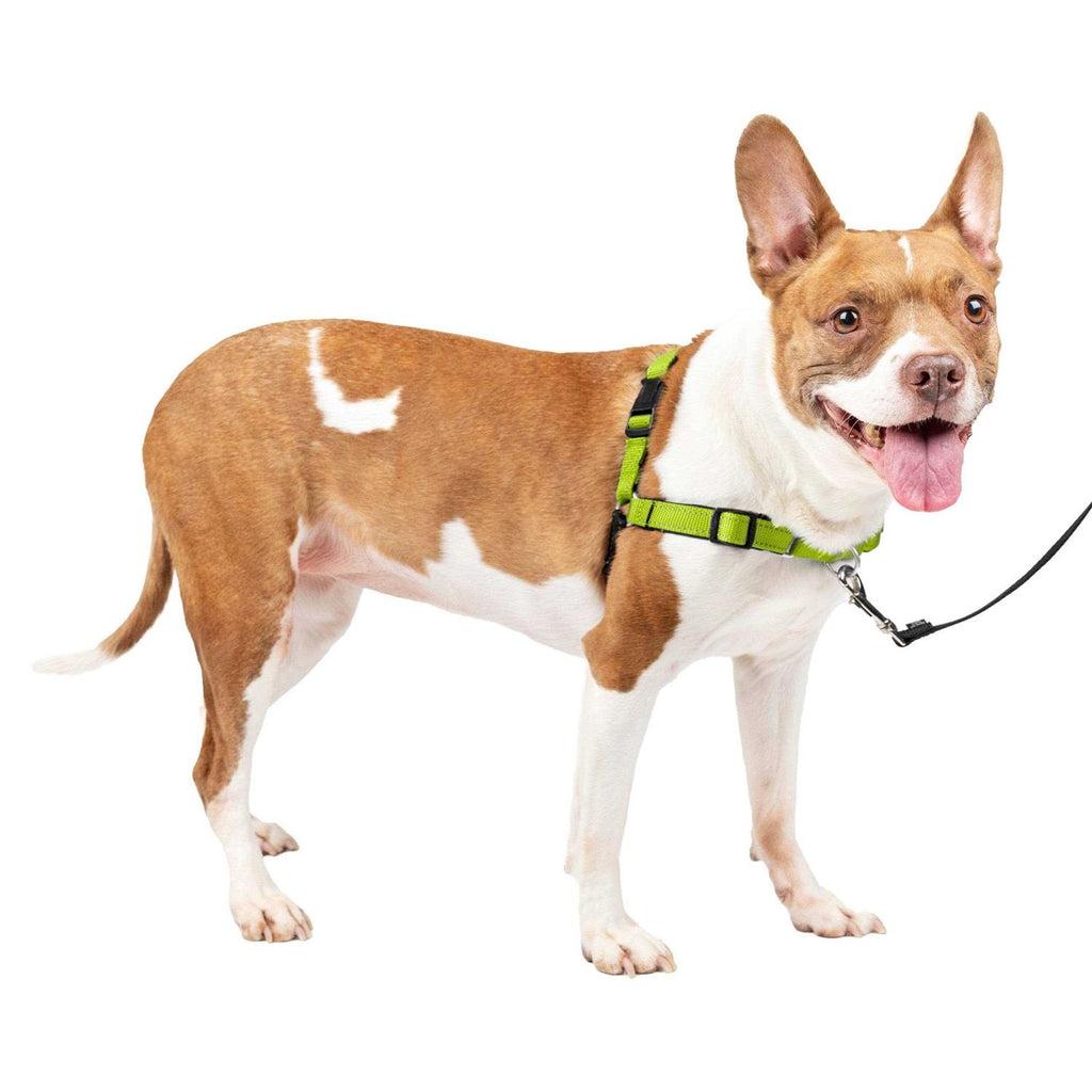 Easy Walk Harness Y246