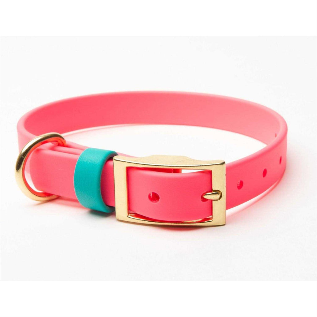 Waterproof Odorless Dog Collar A8267
