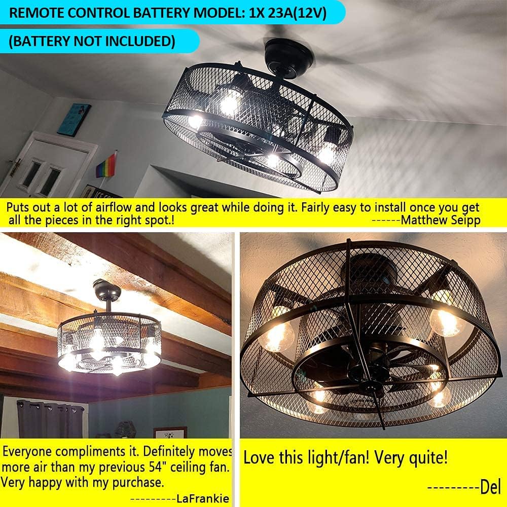 20In Caged Ceiling Fan with Light, 3 Speeds, Remote, Black D270