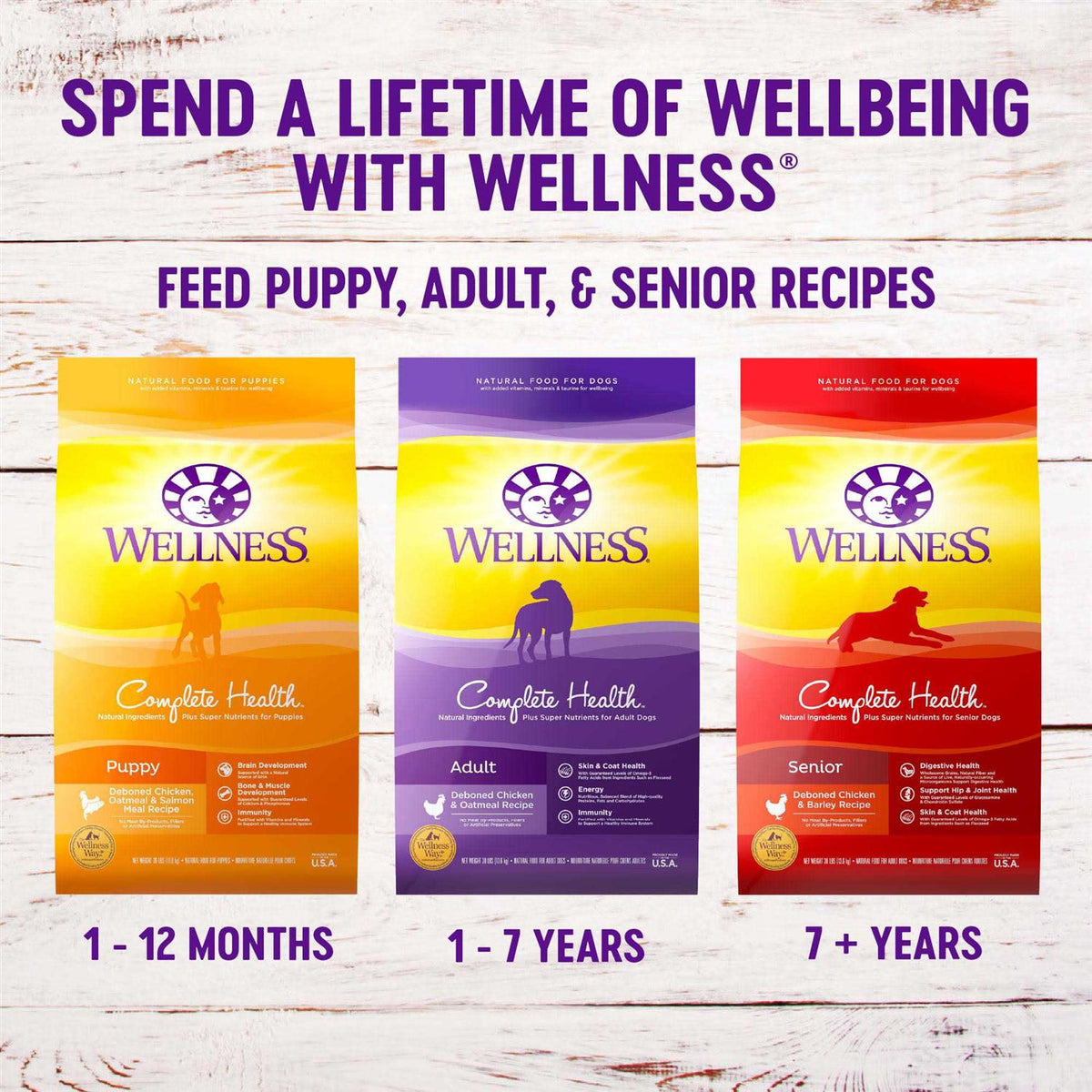 Chicken Puppy Food Q41601