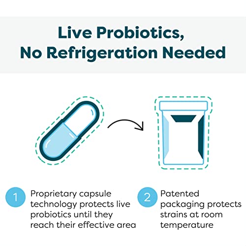 60 Capsules Probiotic & Prebiotic Supplement V40655