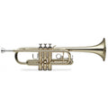Trumpet with Case U357