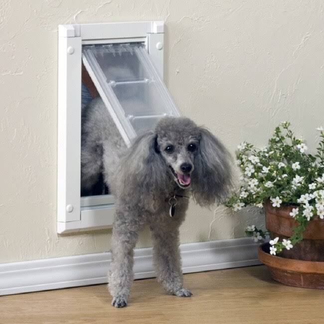 Single Flap Wall Mount Pet Door M54738