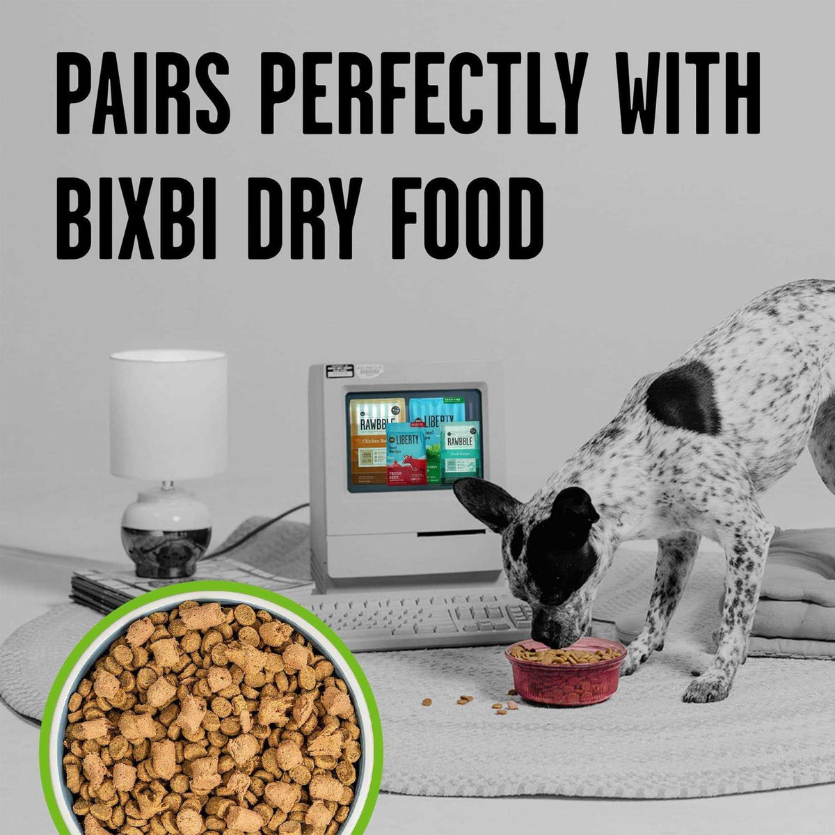 Freeze-Dried Dog Food N737388