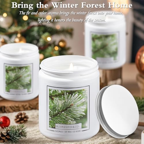 Balsam Fir Scented Candle J220399
