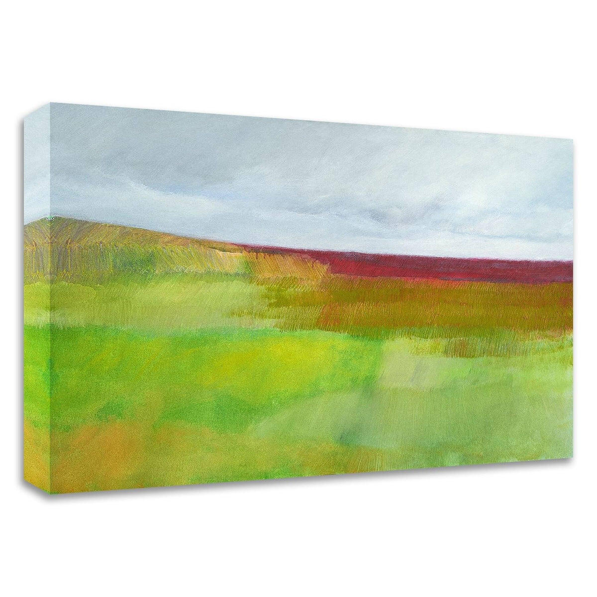 Green and Red Print on Canvas F703