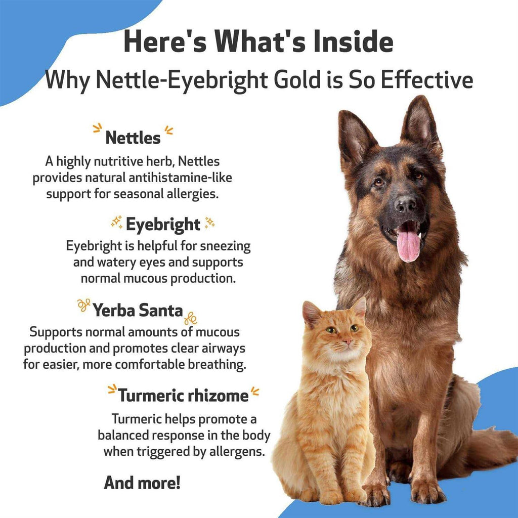 Nettle Eyebright for Dogs X91551