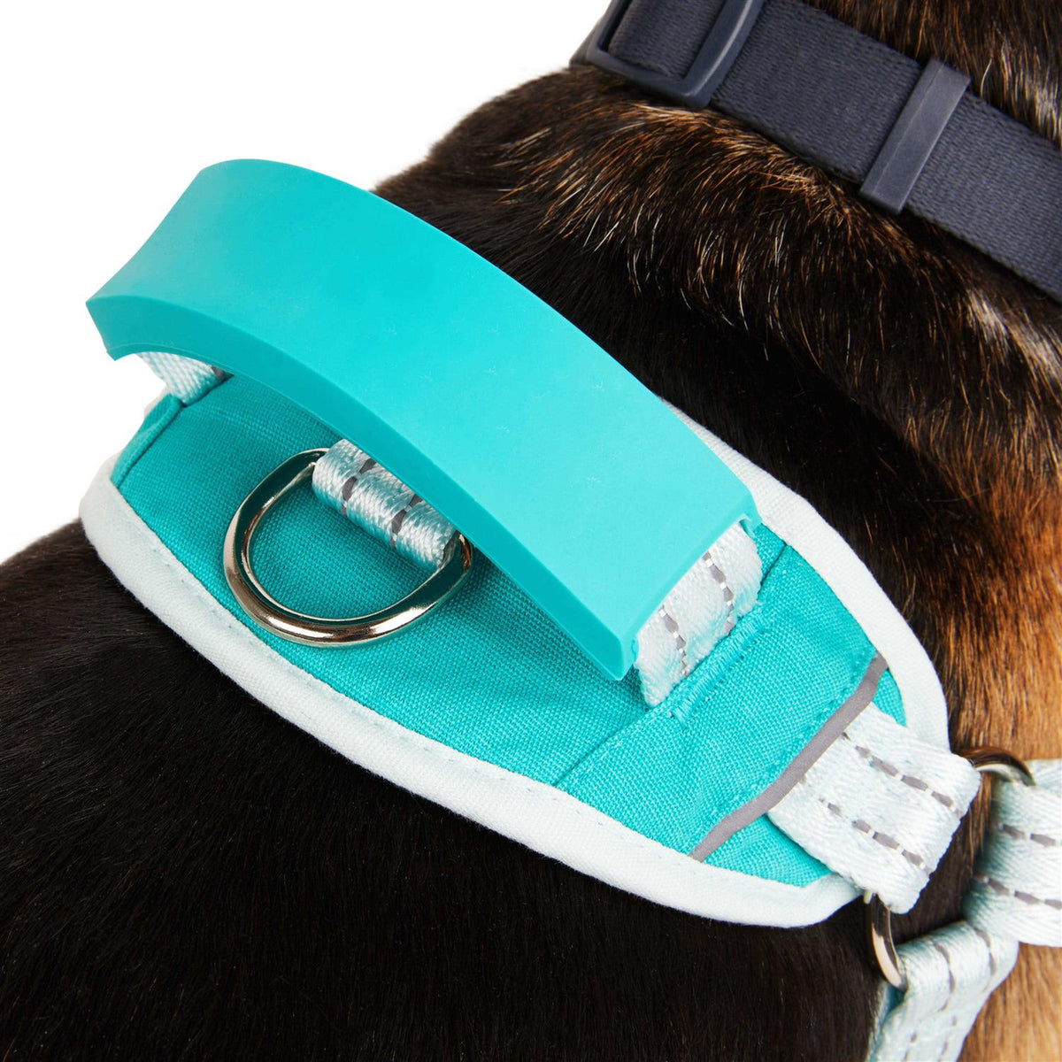 Easy On Training Dog Harness N20944