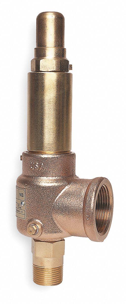 Pop Safety Valve, 1 x 1-1/2 In, 150 PSI M57348