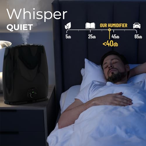 6L Cool Mist Humidifier A8866