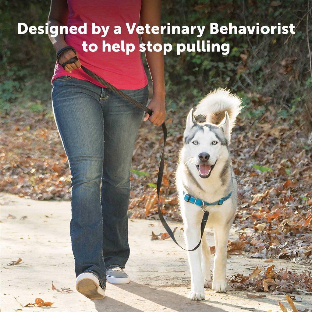 Easy Walk Harness Y246