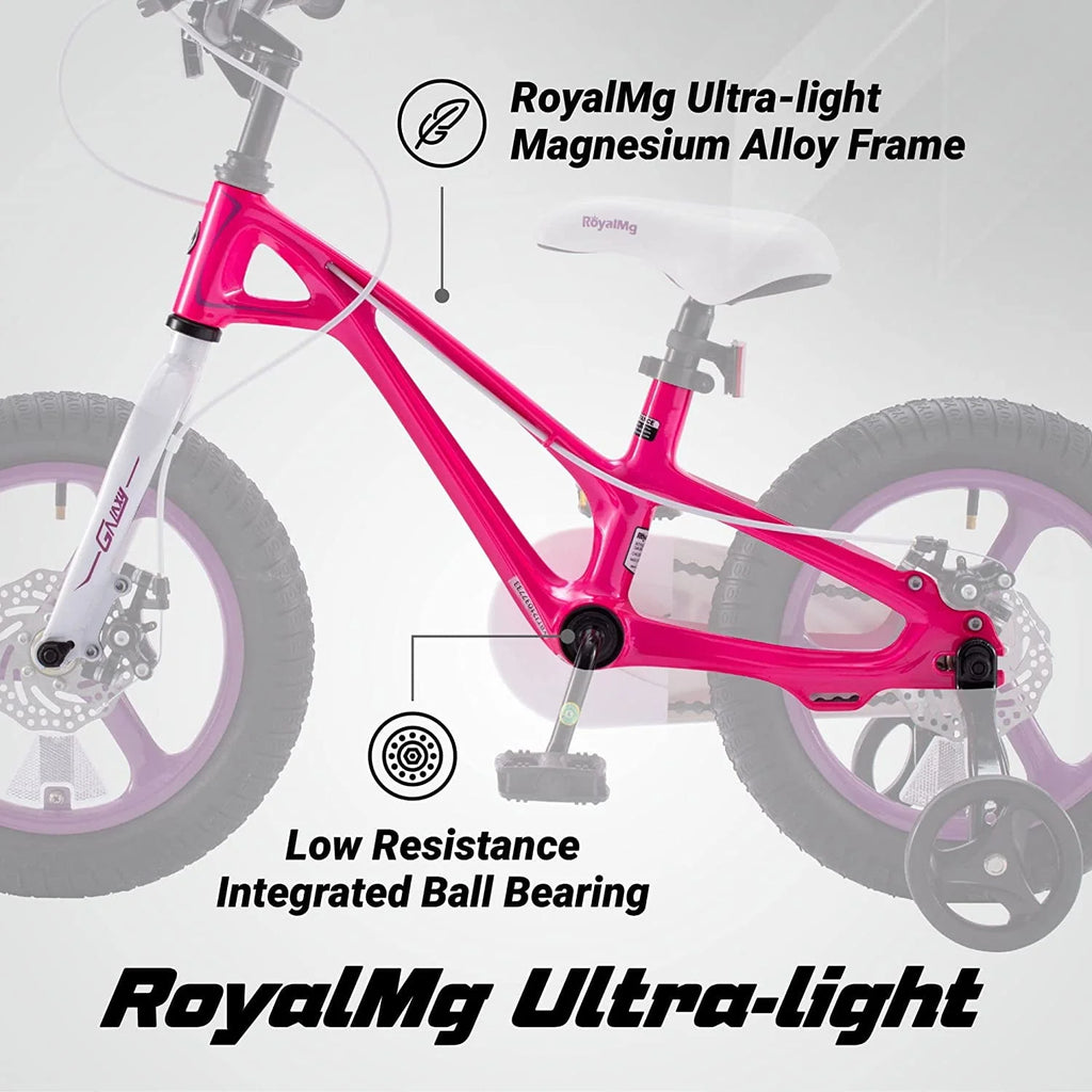 16 In. Kids Bike with Disc Brake and Training Wheel B620