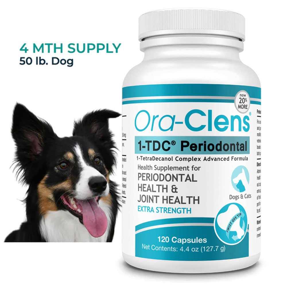 Dog & Cat Supplement N552562