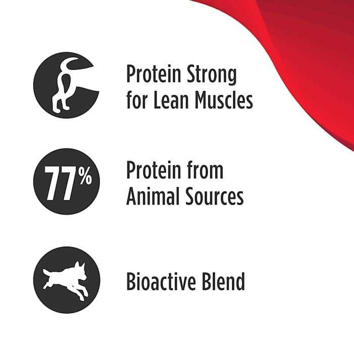 Salmon Dry Dog Food J477