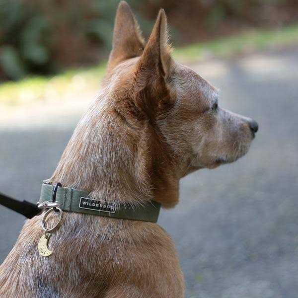 Waterproof Collar K5115