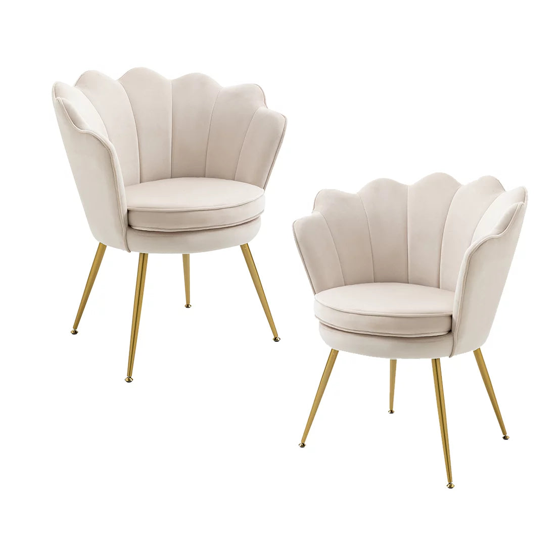 White Velvet Upholstered Arm Chair with Golden Metal Legs, Set of 2 B382082
