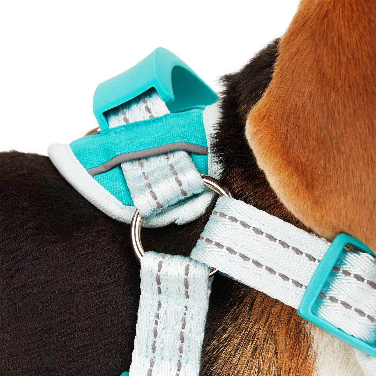 Easy On Training Dog Harness N20944
