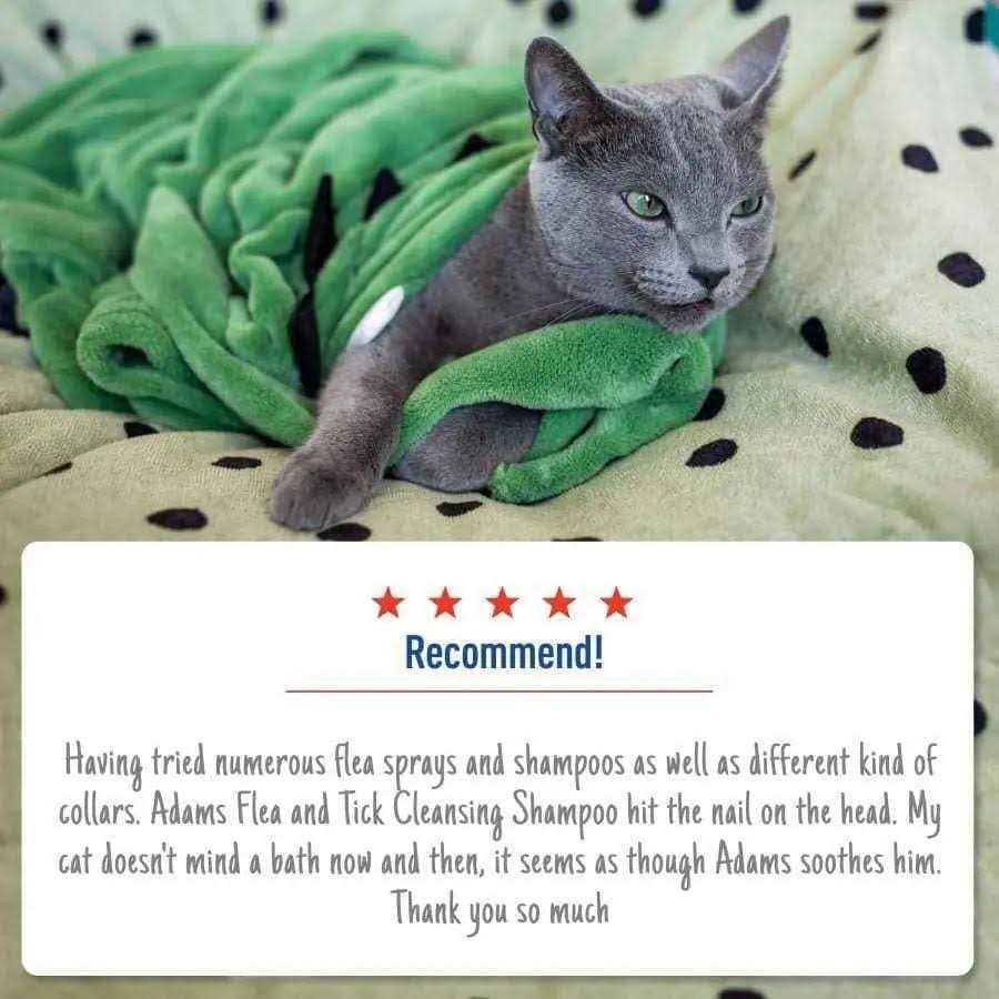 Flea Tick Shampoo V221