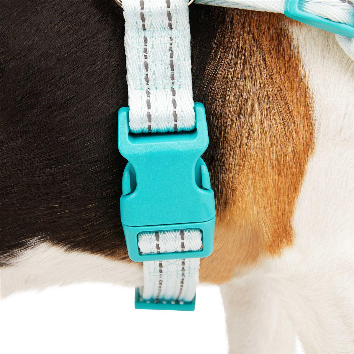 Easy On Training Dog Harness N20944