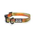 Dog Collar Z28927
