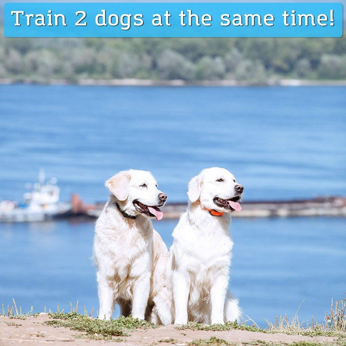 Waterproof Rechargeable Remote Training Dog Collar Pack of 2 D416