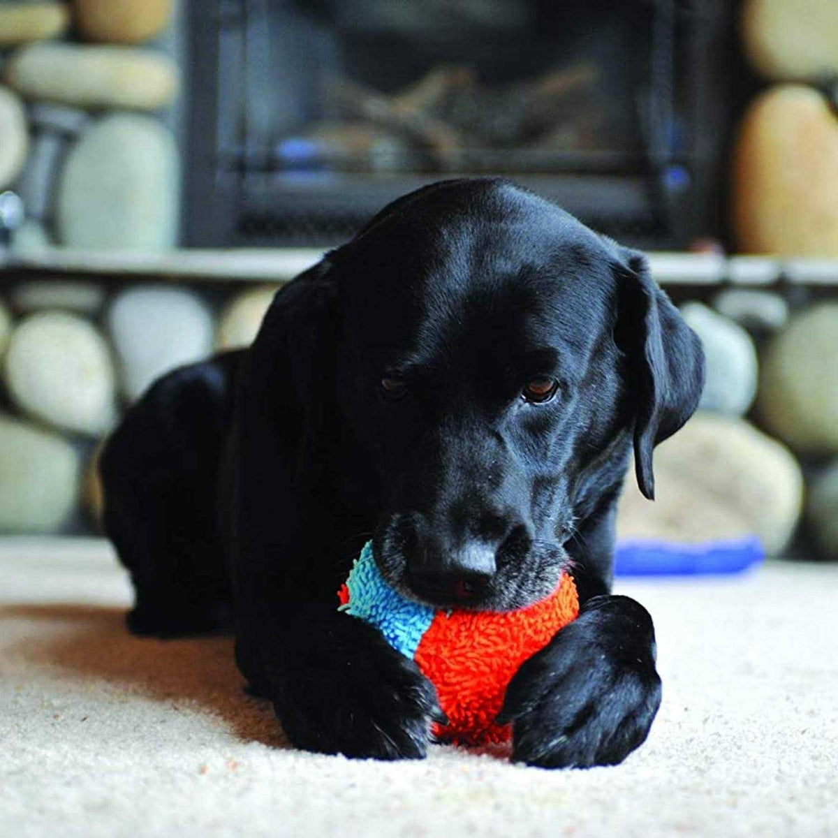 Indoor Dog Toy M723825