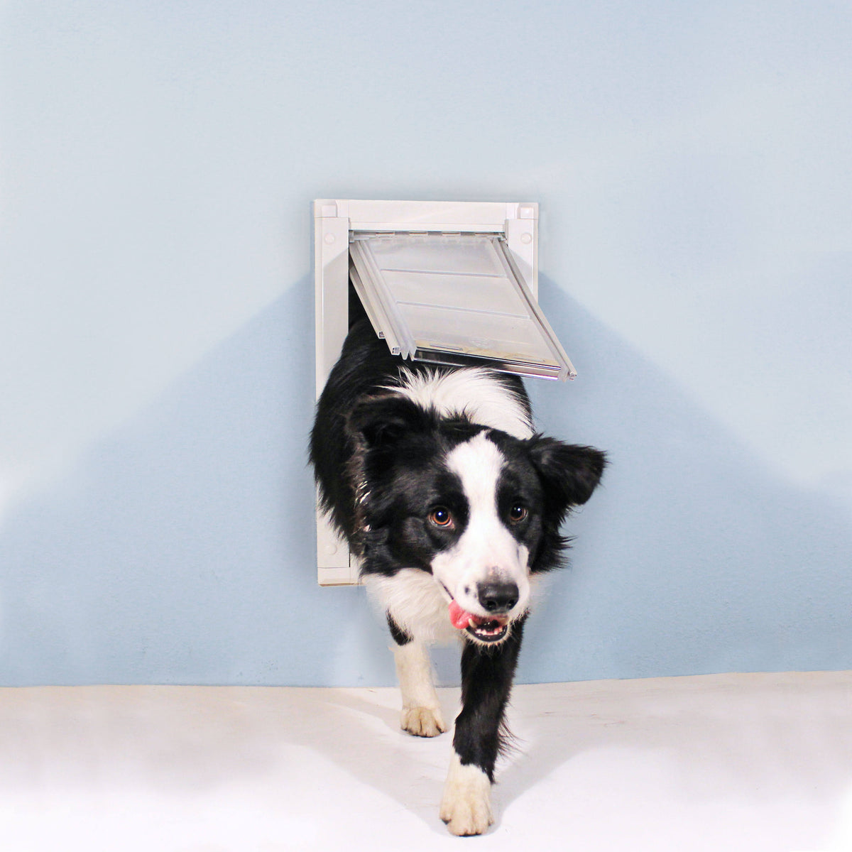 Single Flap Wall Mount Pet Door M54738
