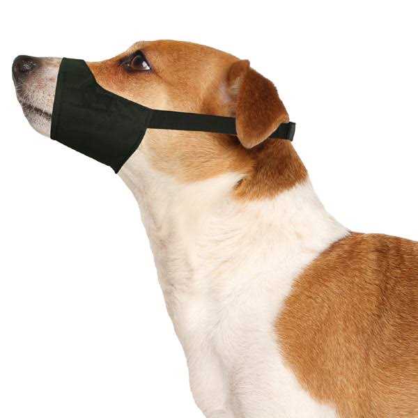 Pet Muzzle G155976