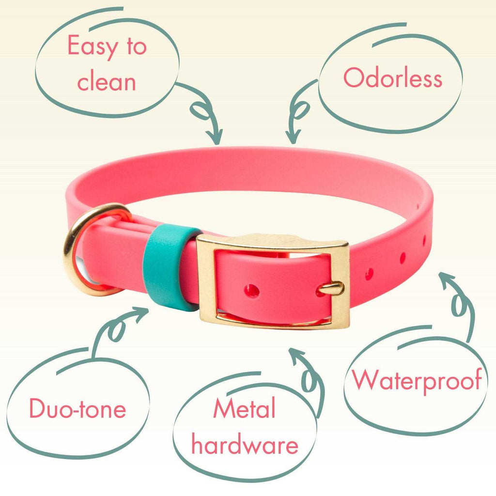 Waterproof Odorless Dog Collar A8267