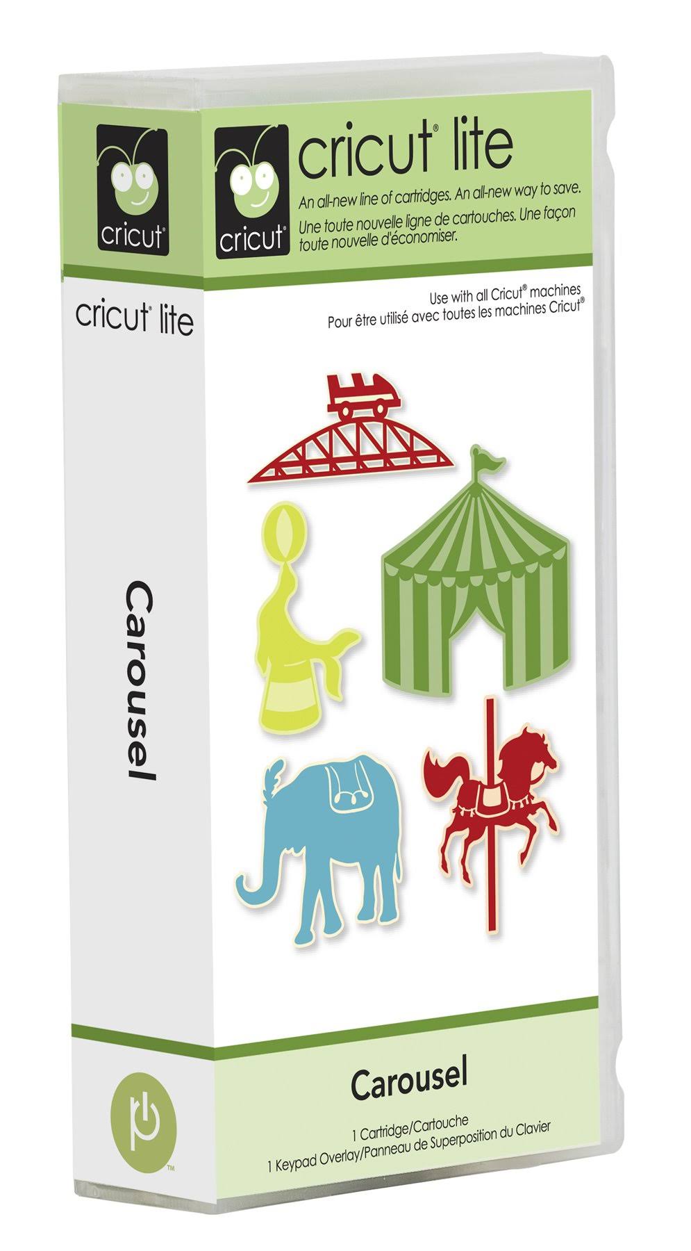 Blue Carousel N83843