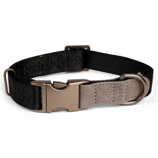 Dog Collar C728898