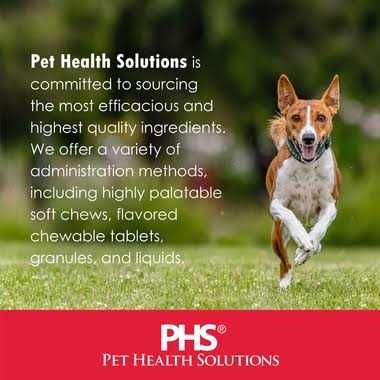 Dog & Cat Supplement N552562