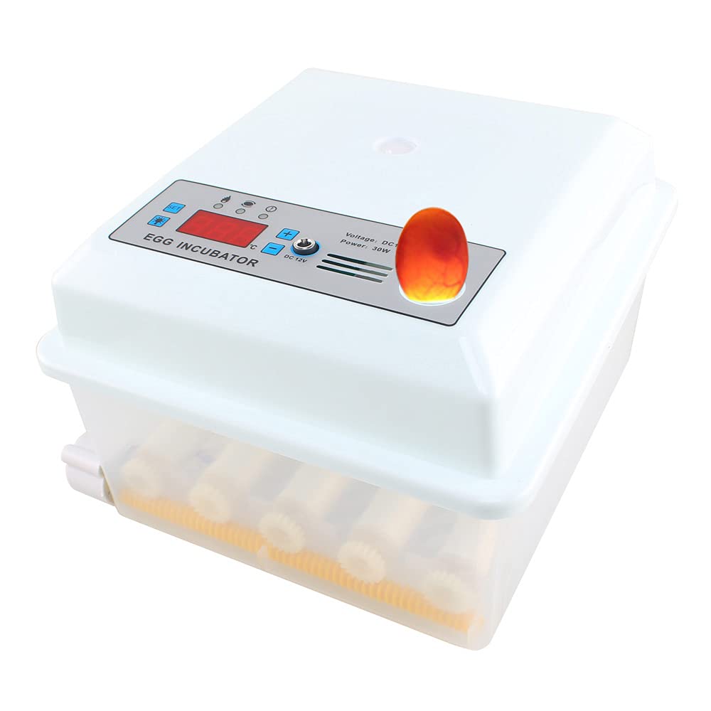 6-16 Eggs Fully Automatic Poultry Incubator with Egg Turner and Temperature Control H73770