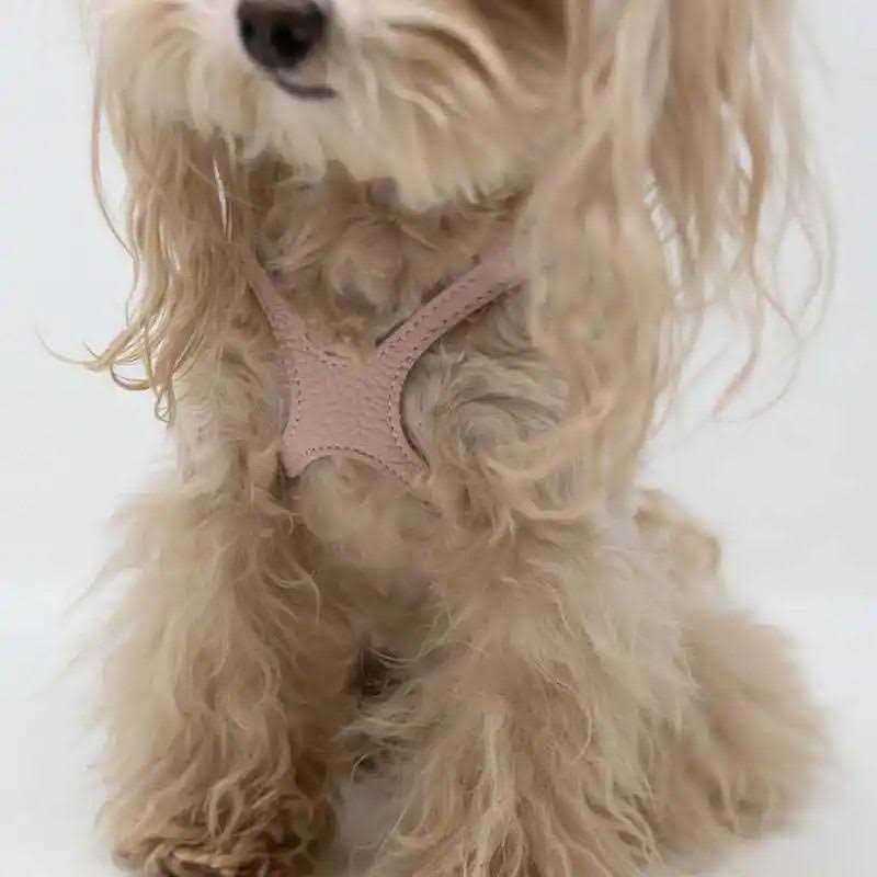 Pebble Grain Pet Harness L86869
