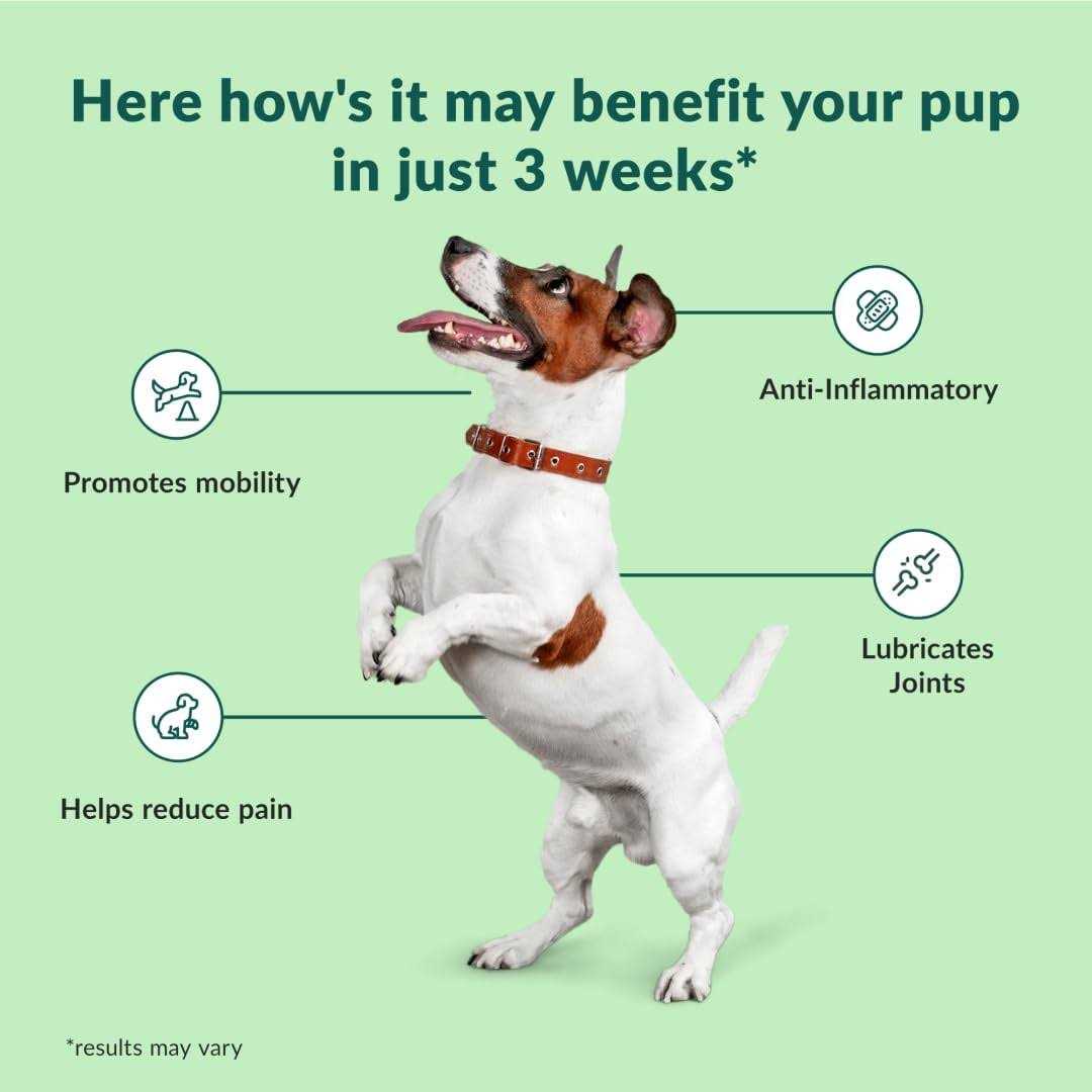 Chewable Dog Hip and Joint Supplement H2697