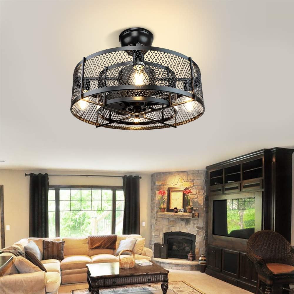 20In Caged Ceiling Fan with Light, 3 Speeds, Remote, Black D270