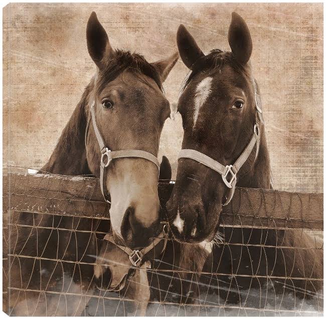 Vintage Canvas Art 22X22 Y3469