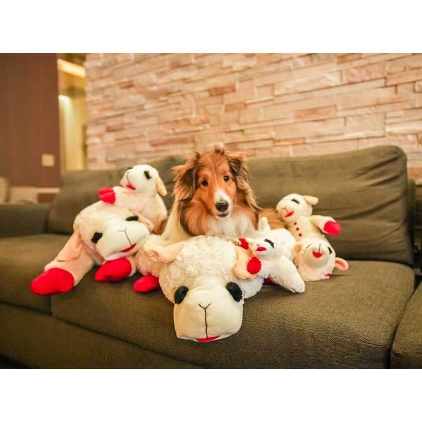 Lamb Chop Dog Bed D18183