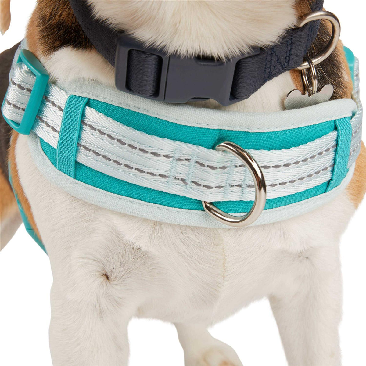 Easy On Training Dog Harness N20944