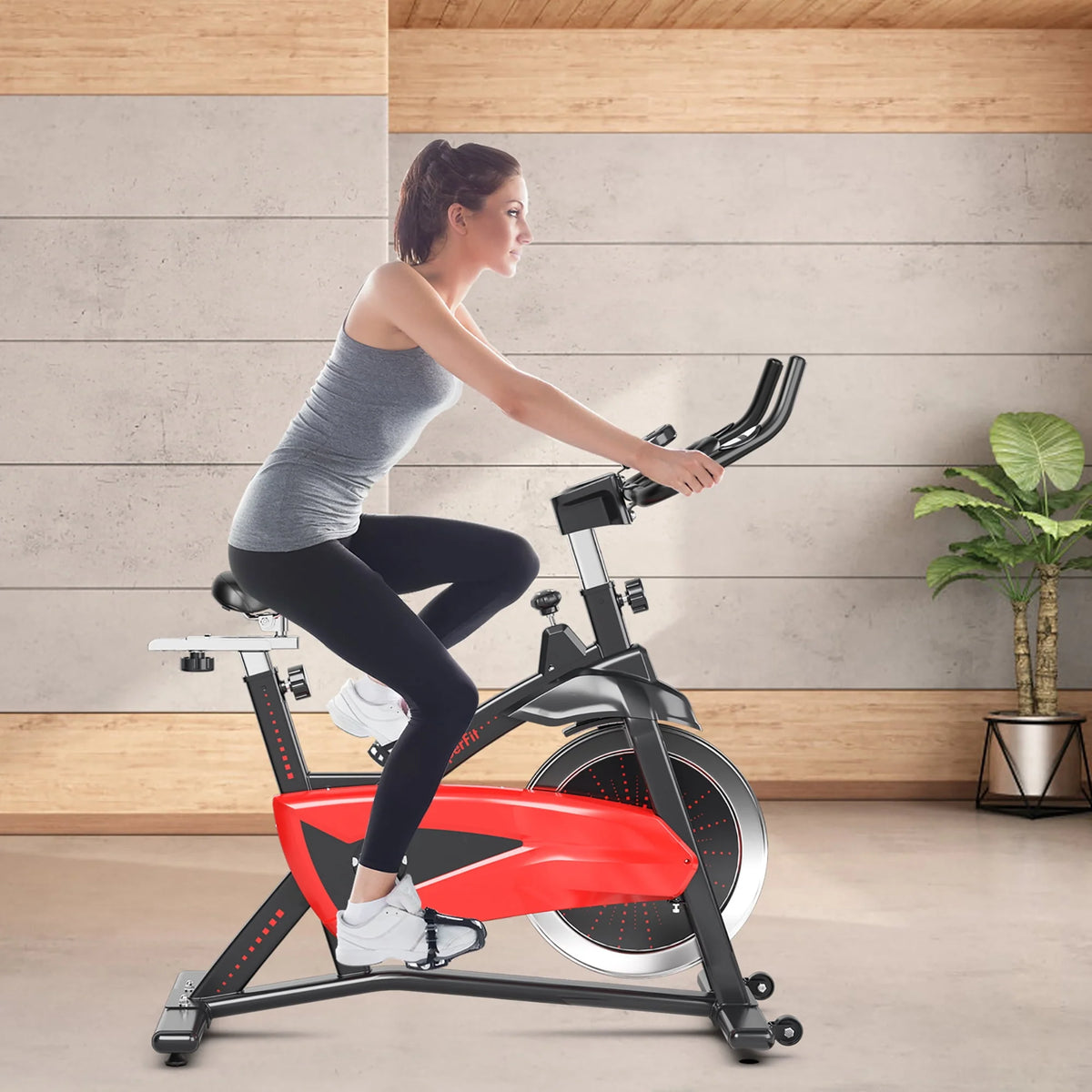 Magnetic Exercise Bike J899274