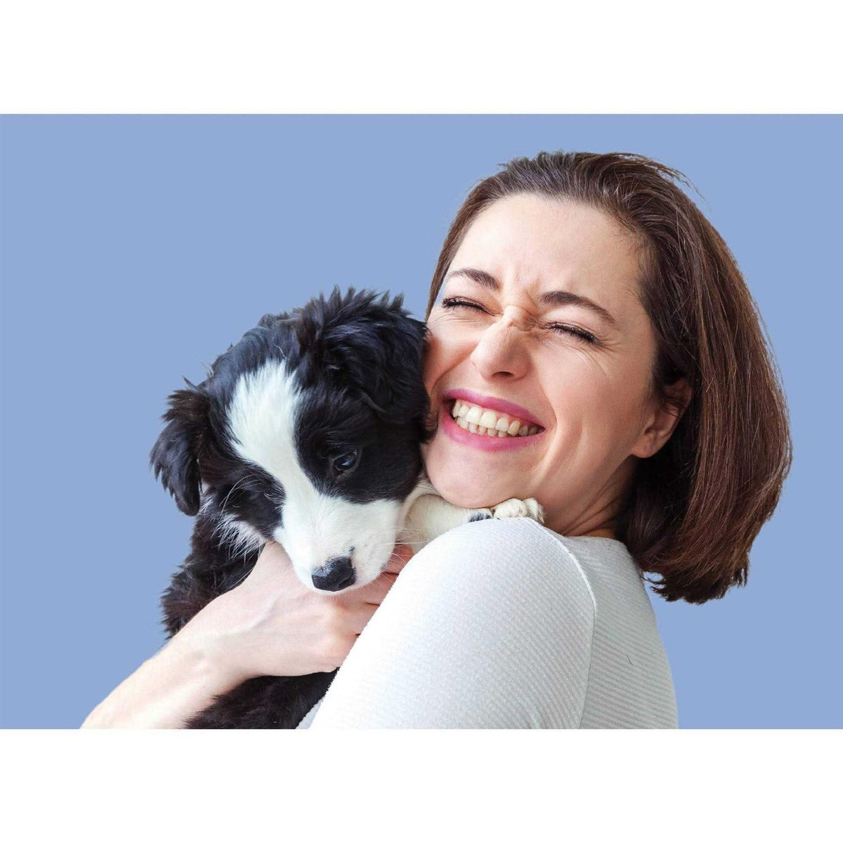 Fast Acting Flea Treatment for Small Dogs W310183