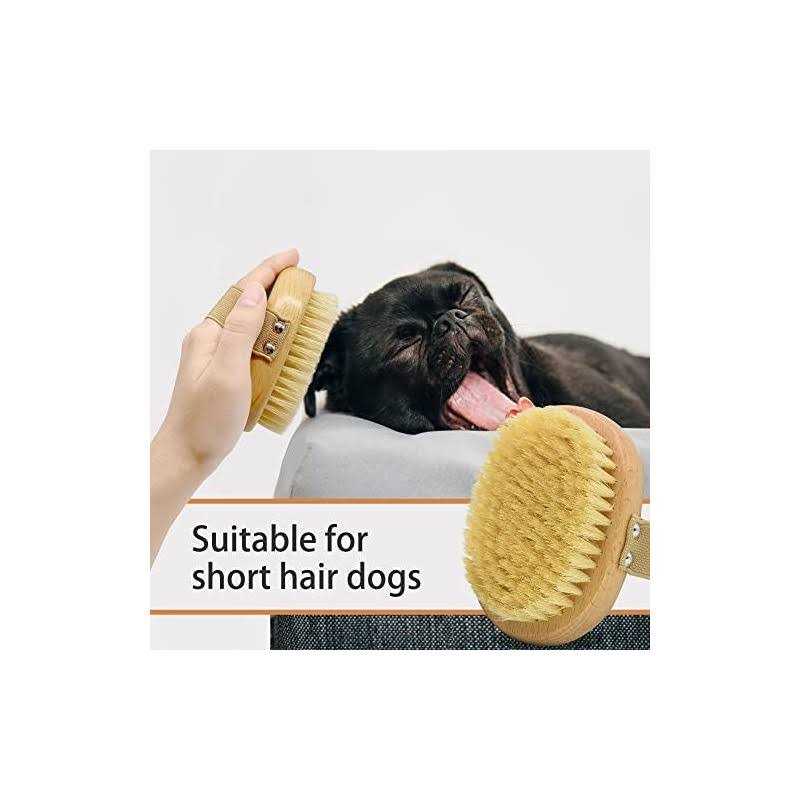 Soft Bristle Dog Brush with Elastic Band M27358