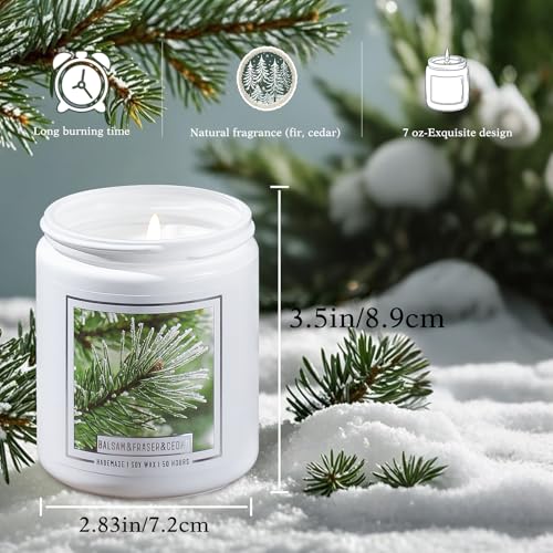 Balsam Fir Scented Candle J220399