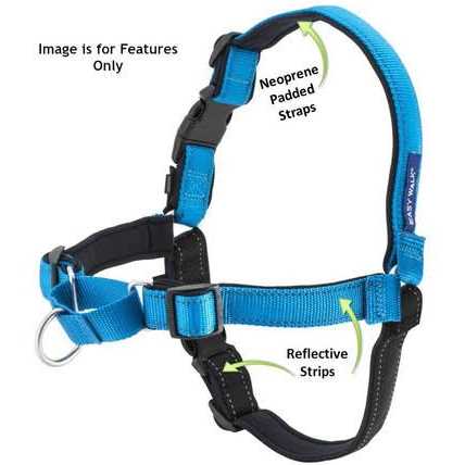 Easy Walk Harness Y246